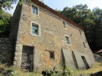 Cod. 1809CAM - Camaiore